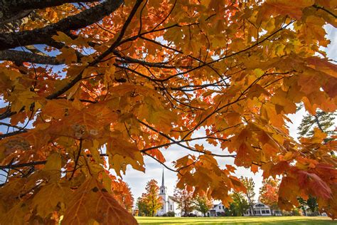 It’s been a wet, hazy summer in Vermont. What does that mean for fall foliage? - VTDigger