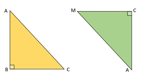 SOLUTION: Right triangle congruence theorems - Studypool