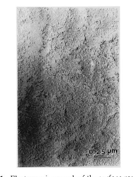 Figure 1 from Fine Structure in the Poly (vinylidene fluoride) Thin Film Cast from N, N ...