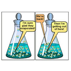 Chemical equilibrium and factors affecting it. FREE – Maths and Science Lessons