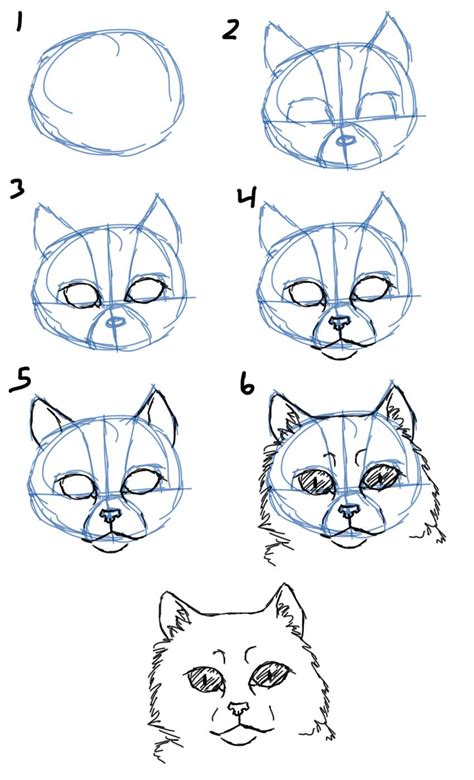 Cat face drawing, Cat drawing tutorial, Cat drawing