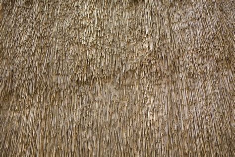 Texture. straw roof — Stock Photo © repinanatoly #1062830