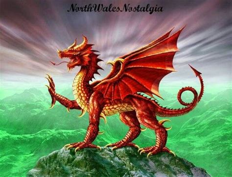 Welsh Dragon Art