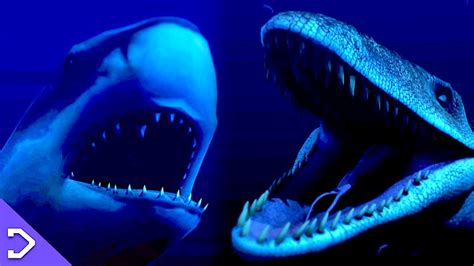 Megalodon Vs Mosasaurus Battle