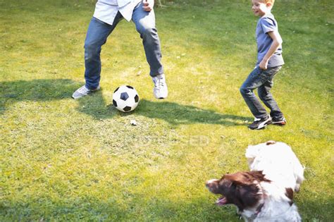 Boy playing soccer with dog outdoors — standing, soccer ball - Stock Photo | #199743964