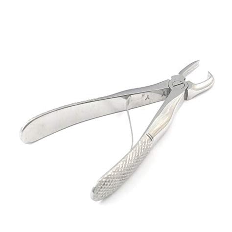 Best Dog Tartar Removal Tool, According To Vets