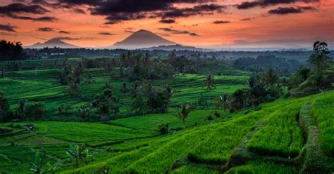 Tri Hita Karana: The Mystical Philosophy of Bali Rice Terraces - Historic Mysteries