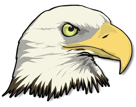 Eagle Head Transparent Image