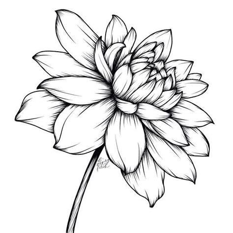 Flower sketch - tyredmanager