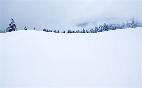 🔥 [48+] Snow White Desktop Wallpapers | WallpaperSafari