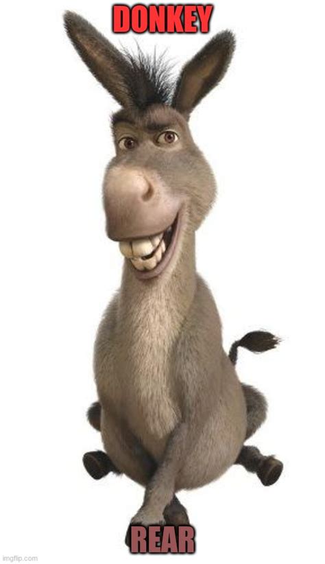 donkey from shrek Memes & GIFs - Imgflip