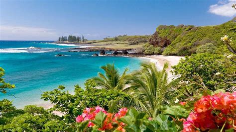 Hawaii Wallpapers - Top Free Hawaii Backgrounds - WallpaperAccess