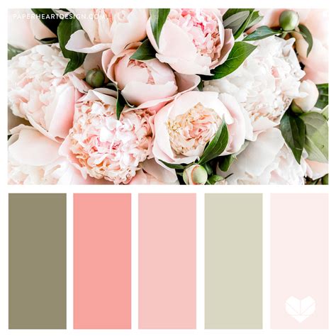 Pale Pink Color Scheme