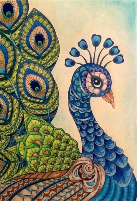 Pin by J L G on Peacocks | Peacock art, Peacock painting, Mandala ...