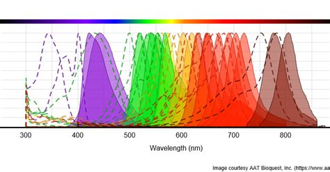 AAT Bioquest: The Spectra of Alexa Fluor® Dyes