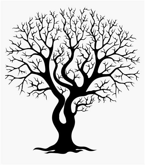 Tree,branch,woody Art,plant Stem,trunk,twig,black And - Bare Tree Branches Silhouette, HD Png ...