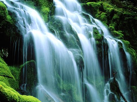 Free Screensavers Wallpaper Waterfalls - WallpaperSafari