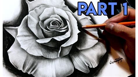 Pencil Hyper Realistic Rose Drawing