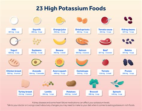 Low Potassium Foods