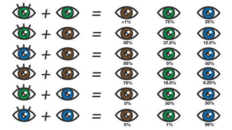 firma Saco Banco eye color chart Huérfano Cartero Galantería