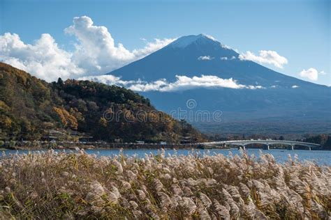 Mount Fuji at Lake Kawaguchi, Japan Stock Photo - Image of famous, prefecture: 74995646