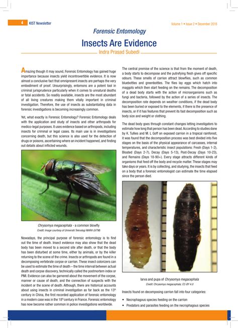 Forensic Entomology Review Paper