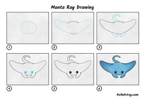 Manta Ray Drawing - HelloArtsy