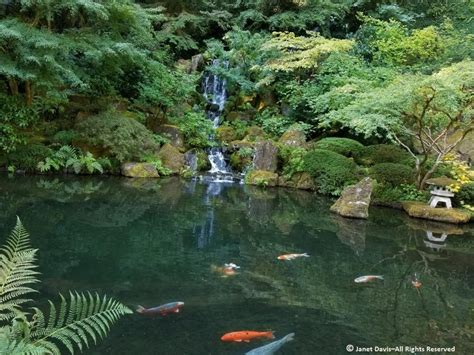 51-Strolling Pond Garden-Lower Pond and Heavenly Waterfall-Japanese ...