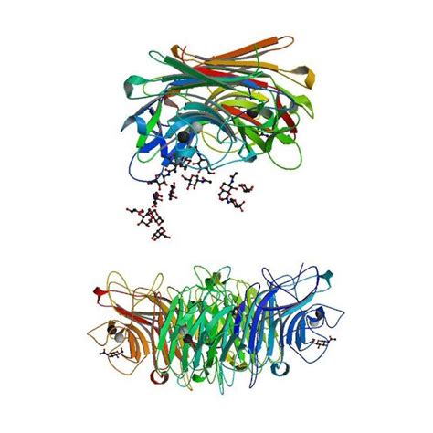 Precision in Peptide Synthesis for Research Excellence | Buy Now! | bioWORLD