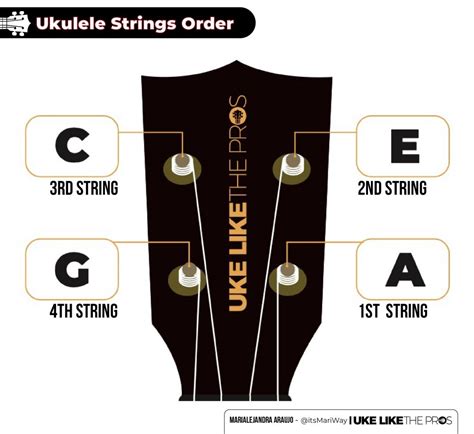 Ukulele String Notes, Names Numbers: What You Need Know | 6b.u5ch.com