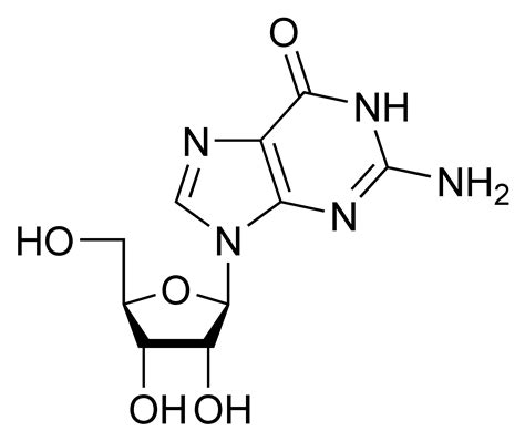 Nucleoside - wikidoc