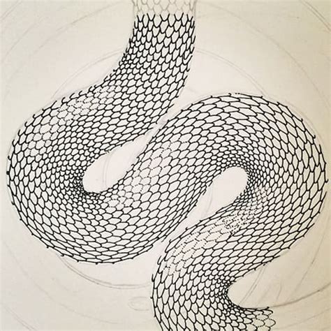 Snake Scales Drawing at GetDrawings | Free download