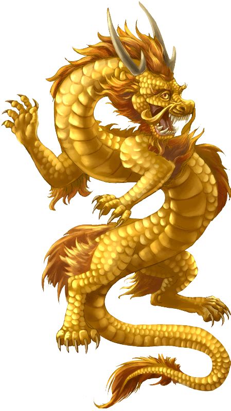 Gold Dragon transparent PNG - StickPNG