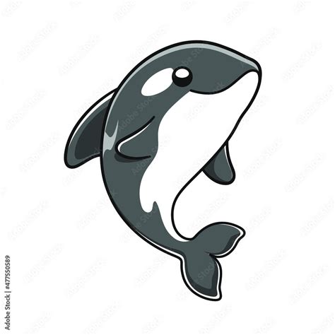 Cute Orca whale vector illustration. Killer whale cartoon clipart. Stock Vector | Adobe Stock