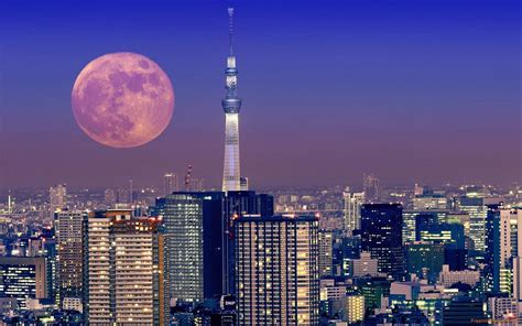 Tokyo Skyline at Night Wallpapers - Top Free Tokyo Skyline at Night Backgrounds - WallpaperAccess