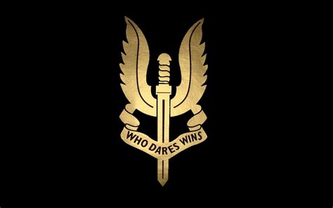 Army Special Forces Logo Wallpaper