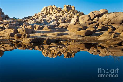 Desert Mirage Photograph by Greg Clure