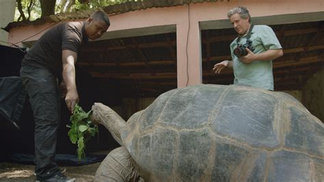 Aldabra Giant Tortoise | RARE: Creatures of the Photo Ark | Official Site | PBS