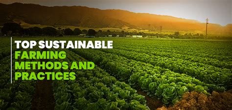 Top Sustainable Farming Practices and Methods in India