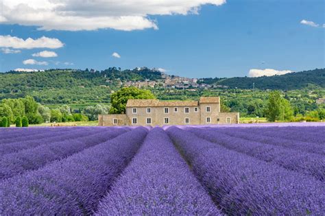 32 Gorgeous Lavender Fields You Should Add To Your Bucket List