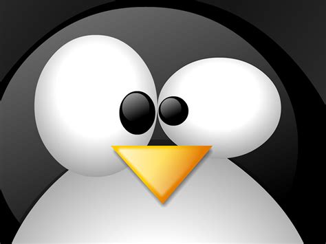 🔥 [50+] Linux Penguin Wallpapers | WallpaperSafari