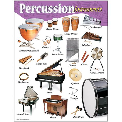 Chart Percussion Instruments Gr K-8 17 X 22 - T-38102 | Trend ...