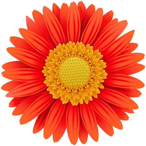 clip art gerbera daisy 20 free Cliparts | Download images on Clipground 2024