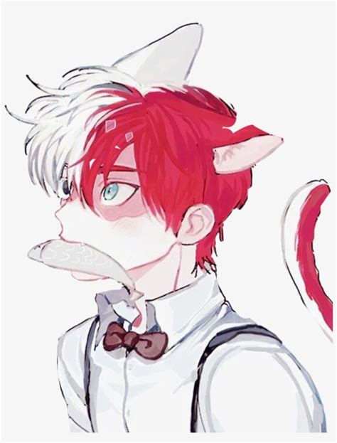 Neko Nekoboy Animeboy Anime Boy Catboy Cat Kitty Png - Tododeku Kiribaku Transparent PNG ...