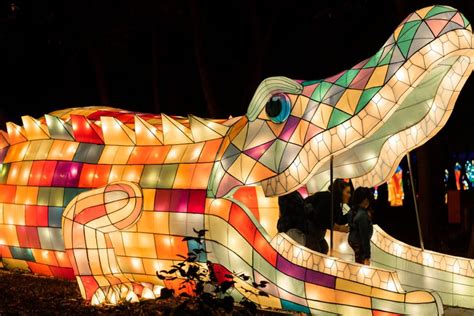 Don't Miss This Brand New Winter Lantern Festival In Georgia