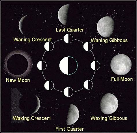 Moon Phases Diagram - Space & Astronomy Pictures, Photos & Information for Kids