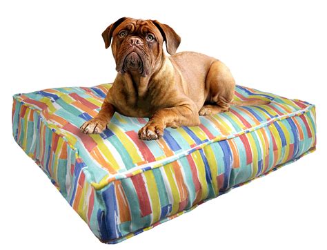 Cozy Up Your Pooch: Top 10 Dog Beds With Covers You Need to Know About - Furry Folly