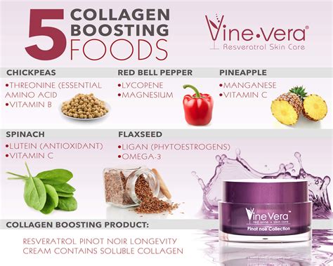 Top 5 Collagen Boosting Foods | Vine Vera Resveratrol Skincare