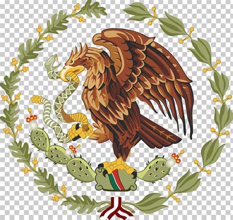 Coat Of Arms Of Mexico Flag Of Mexico National Emblem PNG, Clipart, Bald Eagle, Beak, Bird, Bird ...