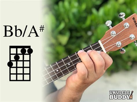 Ukulele Chords